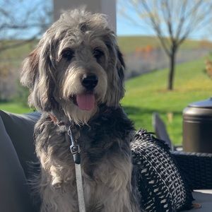 Meet your Posher, Robyn